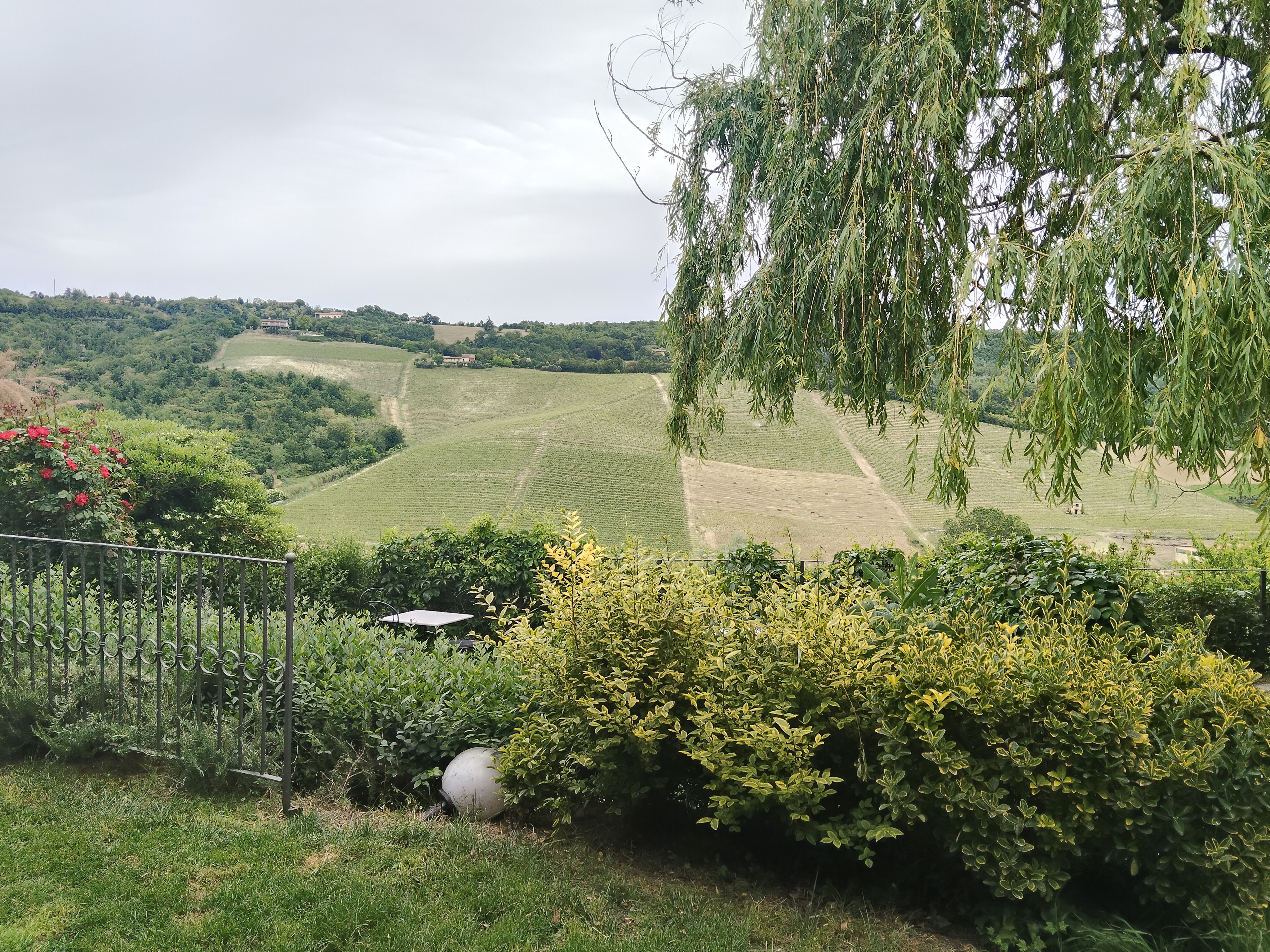 Panorama colline