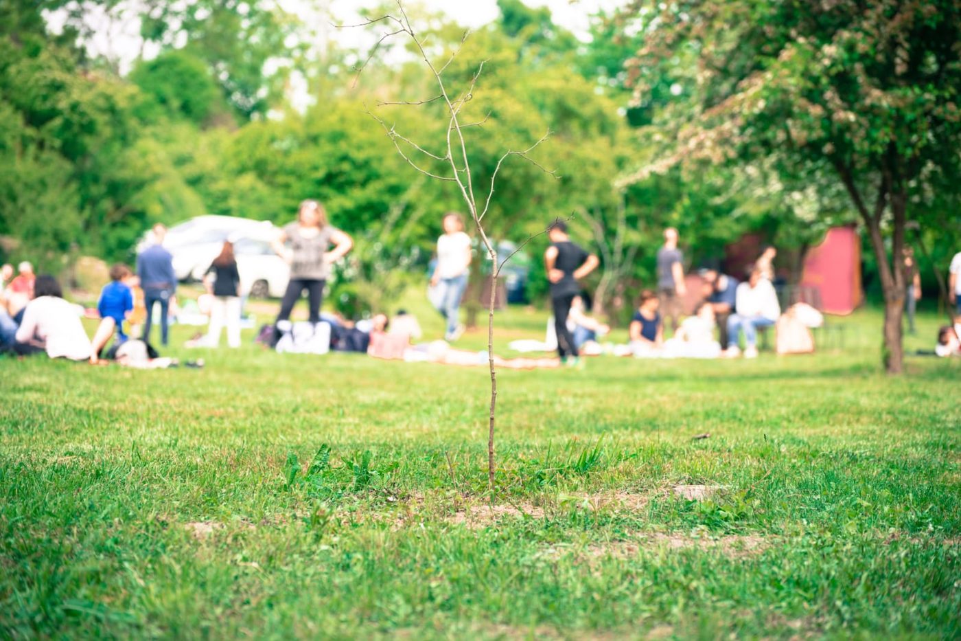 Pranzo nel parco