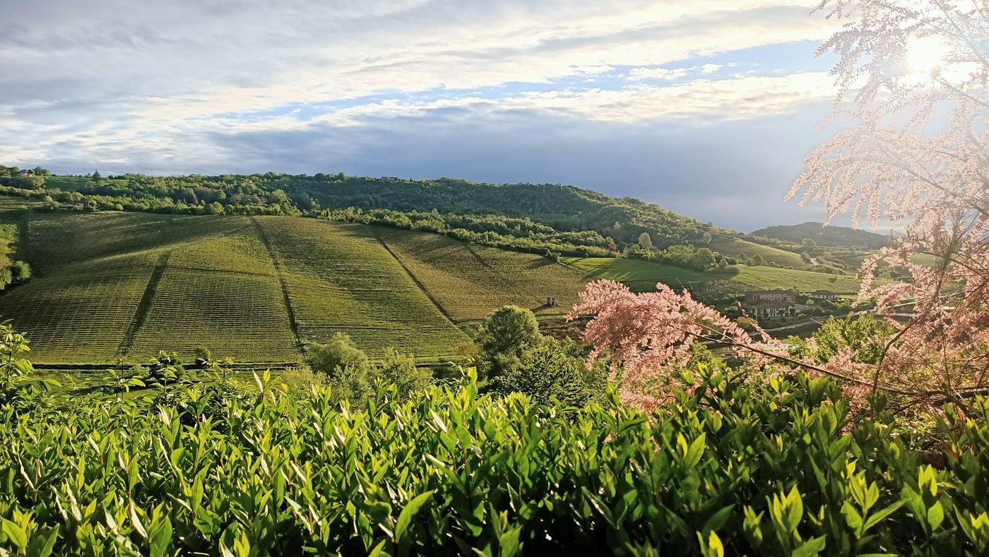 Panorama Monferrato