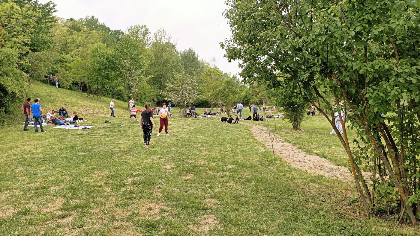 Picnic nel parco