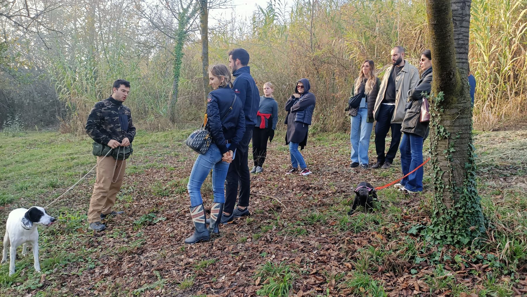 Immersione nel Monferrato: cantina, pranzo e cerca del tartufo
