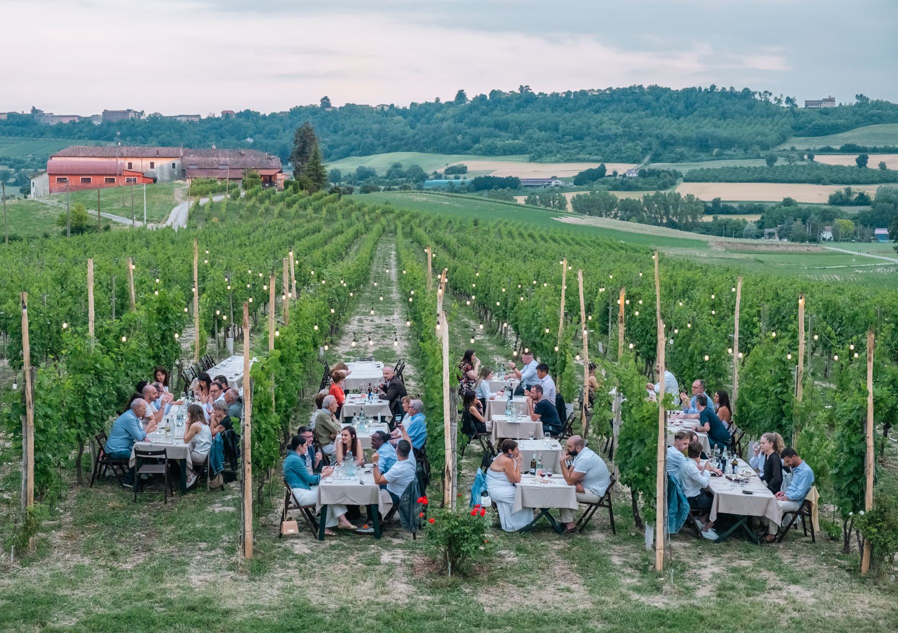 Pranzo in vigna e foliage autunnale Monferrato