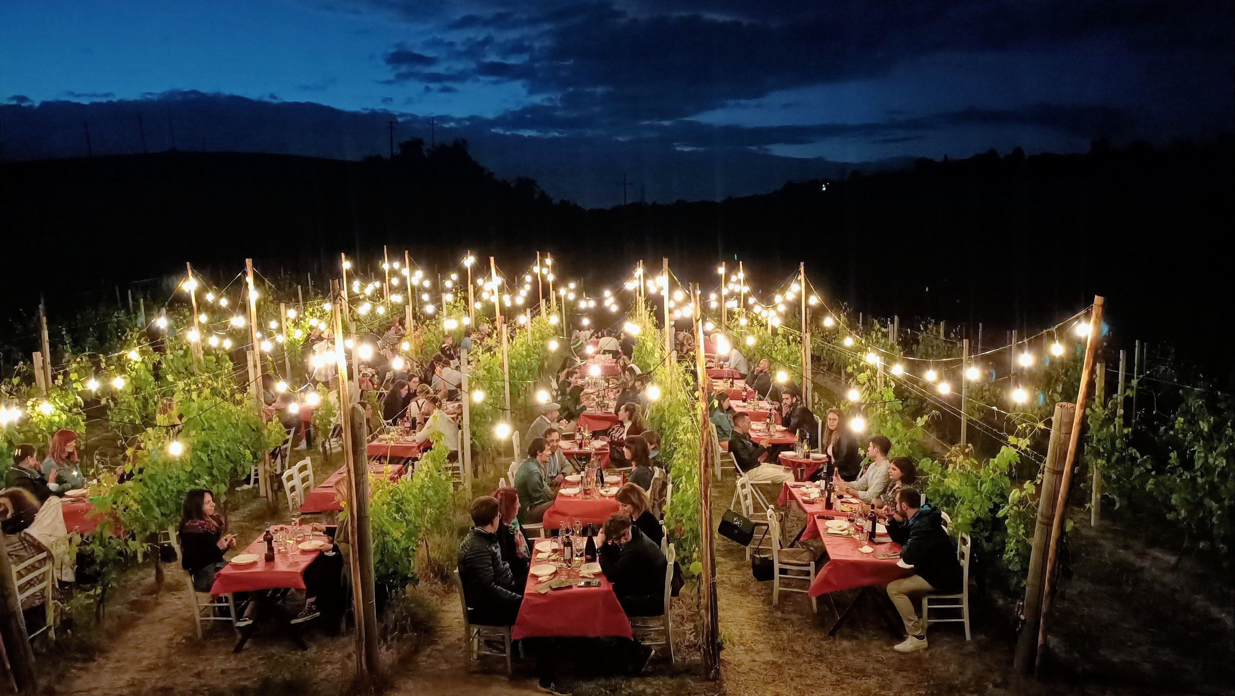 Cene in vigna Monferrato